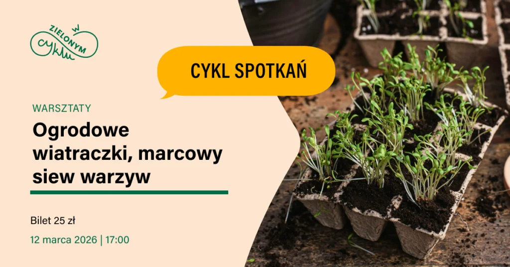 sadzonki w skrzynkach balkonowych