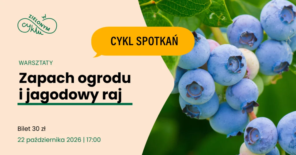 zdjęcie jagód na krzaku