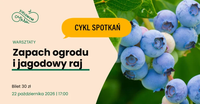 zdjęcie jagód na krzaku
